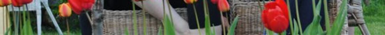 Zufall gruppenbild mit tulpen