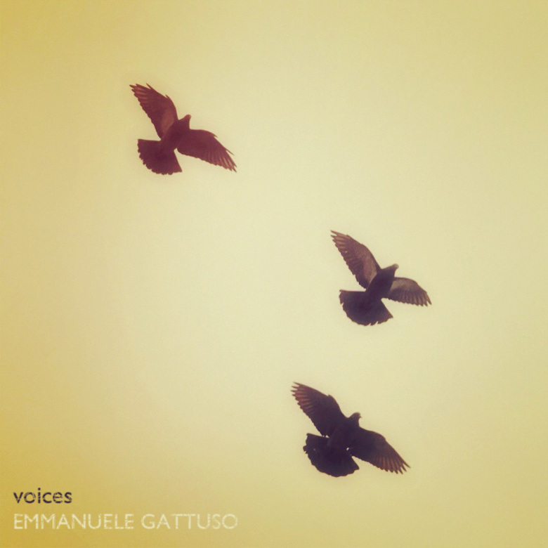 Voices cover